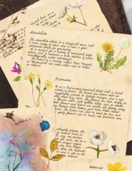 53947324574af429e8ee91847375c24e