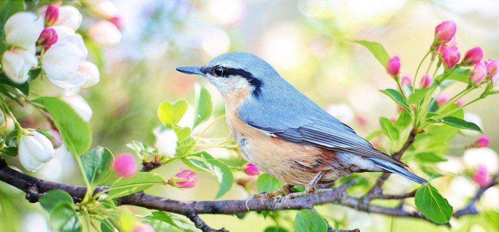 13 books perfect for&nbsp;Spring